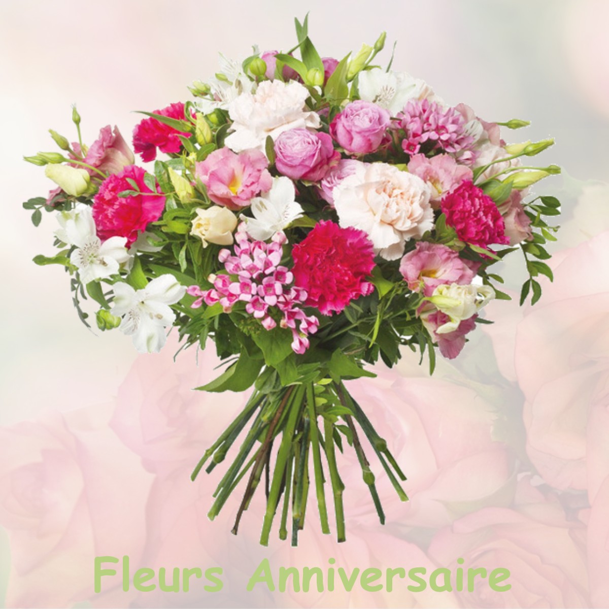 fleurs anniversaire BRAY-SUR-SEINE